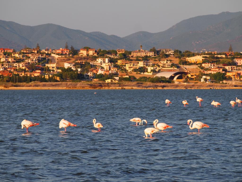 Superpanoramico Bed & Breakfast Cagliari Eksteriør bilde